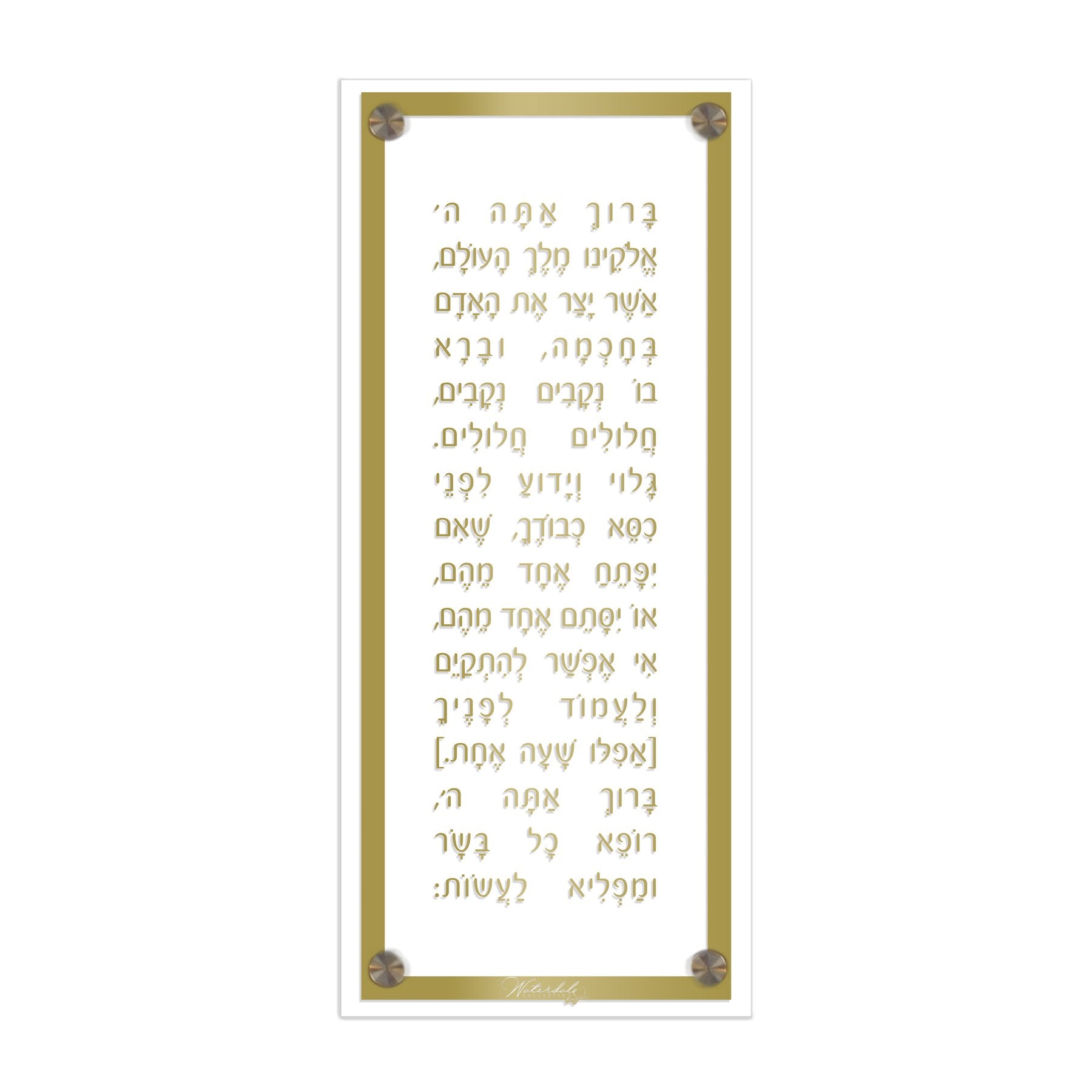 Lucite Asher Yatzar Basics - Modern