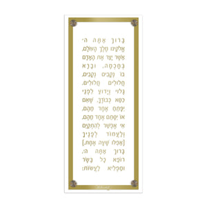 Lucite Asher Yatzar Basics - Modern