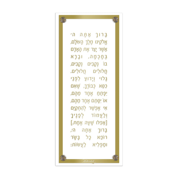 Lucite Asher Yatzar Basics - Modern