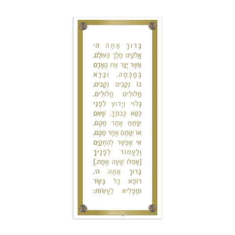 Lucite Asher Yatzar Basics - Modern