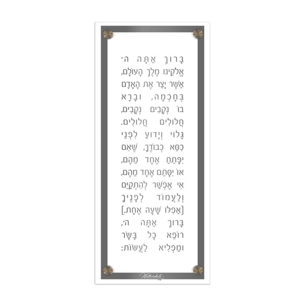 Lucite Asher Yatzar Basics - Modern