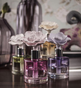 Chando Diffuser Youth Collection